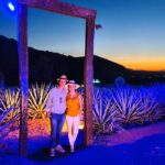 Alma Tequilera Flavors Tradition and Feast - The Value of the Experience