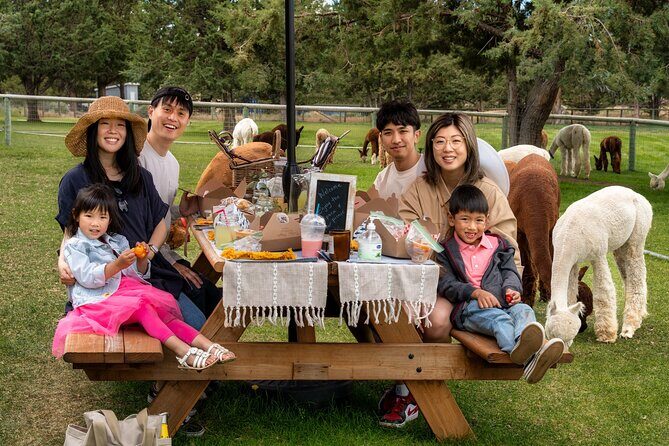 Alpaca Picnic Experience in Oregon - Why the Alpaca Picnic Stands Out