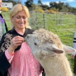 Alpaca Walking Adventure in Scenic Carmel Valley - Key Points
