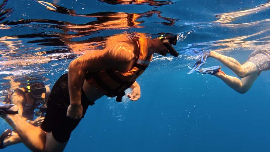 Amazing Adventure, Search and Swim with Whale Sharks on Holbox Island - How the Day Unfolds