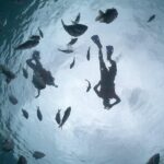 Amazing Clear Boat Adventure and Unlimited Beach Break with Lunch - Snorkeling and Kayaking: Exploring the Underwater and Shoreline