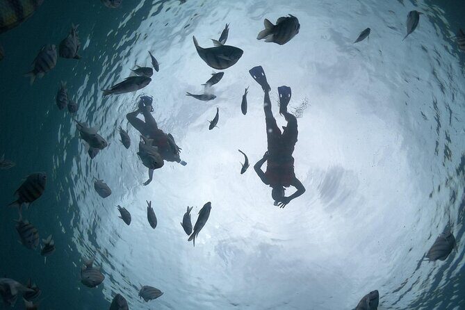 Amazing Clear Boat Adventure and Unlimited Beach Break with Lunch - Snorkeling and Kayaking: Exploring the Underwater and Shoreline