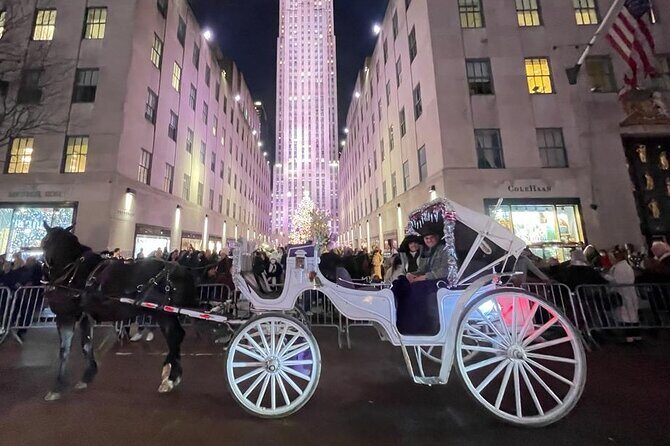 Amazing Horse and Carriage Rockefeller and Christmas lights tour - The Experience of the Ride