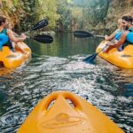 Amazing Mayan Tour Xenotes from Cancun - Who Will Love This Tour?