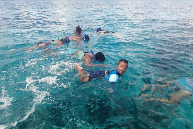 Amazing Snorkel at Cozumel Gorgeous Reef! Round Transportation from Tulum City - Why Choose This Tour?