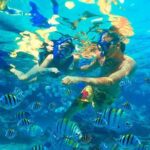 Amazing snorkeling full-day tour to Cozumel Cielo Starfish Reef - Who Is This Tour Best Suited For?