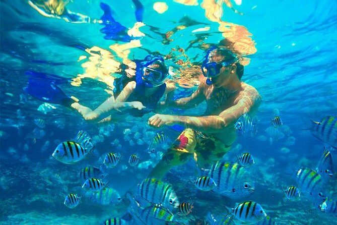 Amazing snorkeling full-day tour to Cozumel Cielo Starfish Reef - Who Is This Tour Best Suited For?