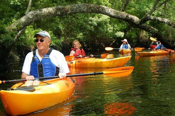 Amelia Island Area Kayak Rental on Lofton Creek with Adventures Up The Creek - The Downside: What to Keep in Mind