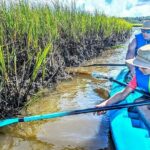 Amelia Island Kayak and Paddleboard Rentals Talbot State Park - Practical Tips for Your Paddle Adventure