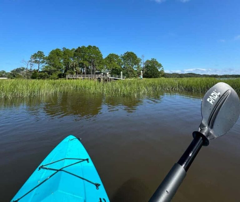 Amelia Island: Salt Marsh Paddle Tour - PADL Island - The Value of This Experience