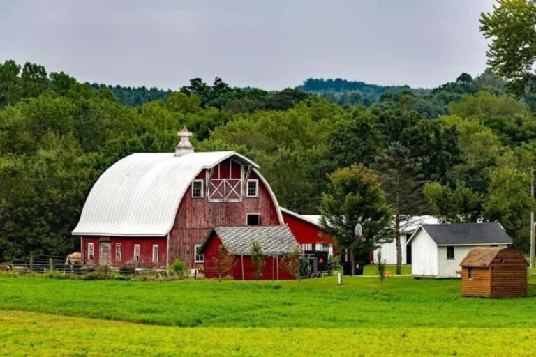 Amish Farm and House 1-Day Tour From Washington D.C. - Who Should Consider This Tour?