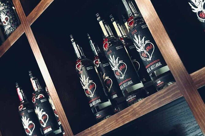 An adventure for the senses: Mezcal, fields and crafts. - Scenic Agave Fields and Regional Drinks