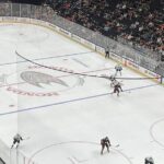 Anaheim Ducks Ice Hockey Game at Honda Center - What to Expect on the Tour: A Play-by-Play