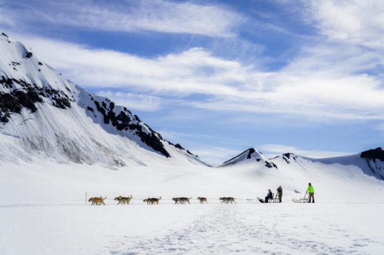 Anchorage Area: Helicopter and Glacier Dogsled Tour - The Value Proposition