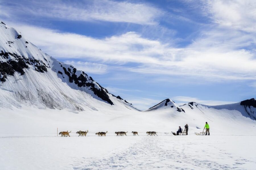 Anchorage Area: Helicopter and Glacier Dogsled Tour - The Value Proposition