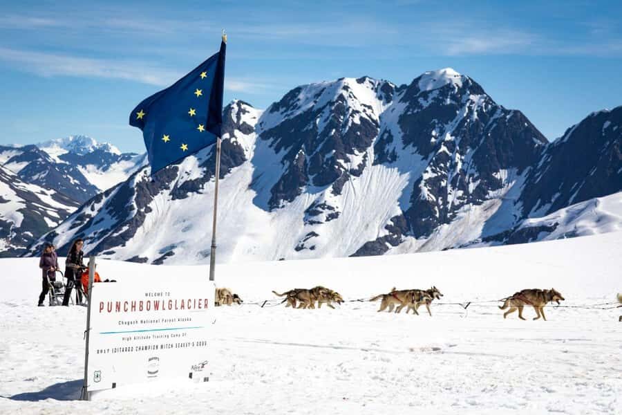 Anchorage: Helicopter Glacier Dogsledding Tour - Practical Details and Considerations