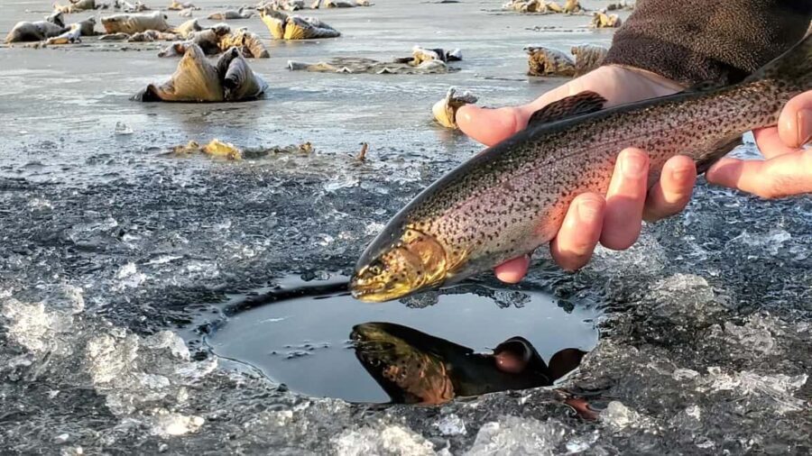 Anchorage: Ice Fishing Trip With Transportation - What Makes This Tour Stand Out?