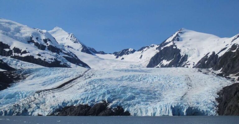 Anchorage: Portage Glacier and Wildlife Explorer Cruise - The Itinerary and What You’ll Experience