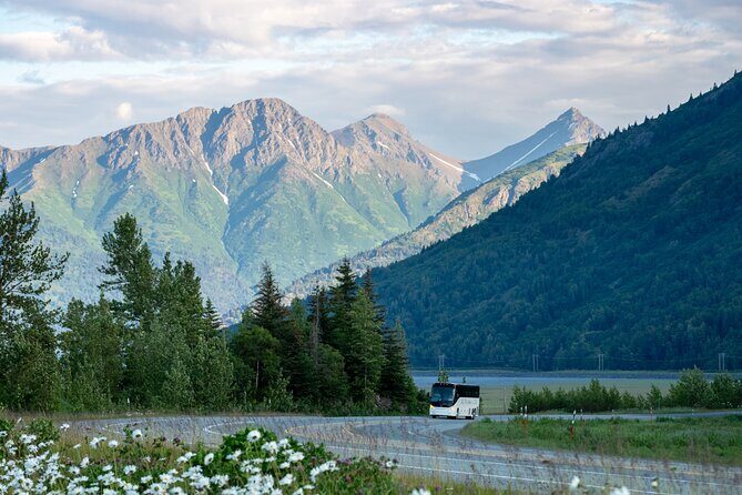 Anchorage to Whittier Direct Transfer Tour - Authentic Traveler Insights