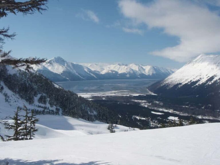 Anchorage: Turnagain Arm Scenic Winter Tour with a Guide - Analyzing the Value