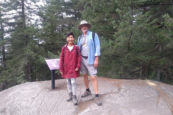 Ancient Forest , Waterfalls and Stunning Vistas Day Tour - What to Expect in Terms of Logistics