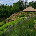 Ancient Lore Village Scenic Tour and Lunch - Final Thoughts: Who Should Consider This Tour?