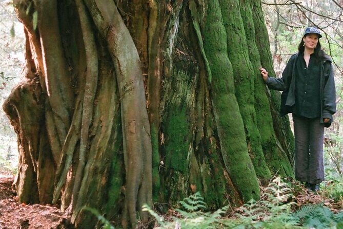 Ancient Trees of Vancouver Walking Tour - Who Will Love This Tour?