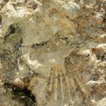 Animal Petting and Sunset Hike in Las Vegas - An Overview of the Experience