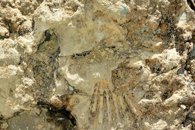 Animal Petting and Sunset Hike in Las Vegas - An Overview of the Experience