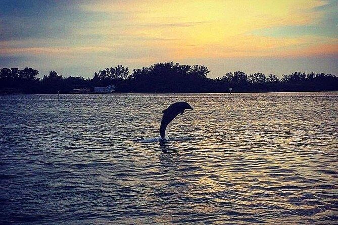 Anna Maria Island Dolphin Sunset Boat Tour - The Value Proposition