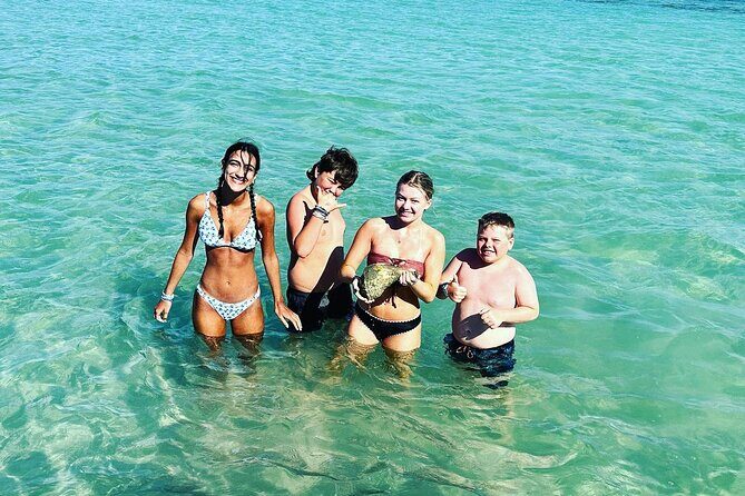 Anna Maria Island Dolphins & Beginners Snorkeling Adventure 4Hrs - Why This Tour Represents Good Value