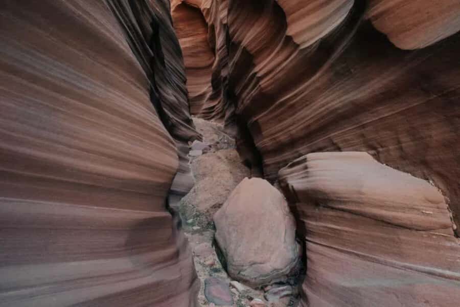 Antelope Valley: Sand Dune Canyon Hiking Adventure - What’s Included and What’s Not