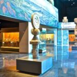 Anthropology Museum Ticket - Practical Tips for Visiting