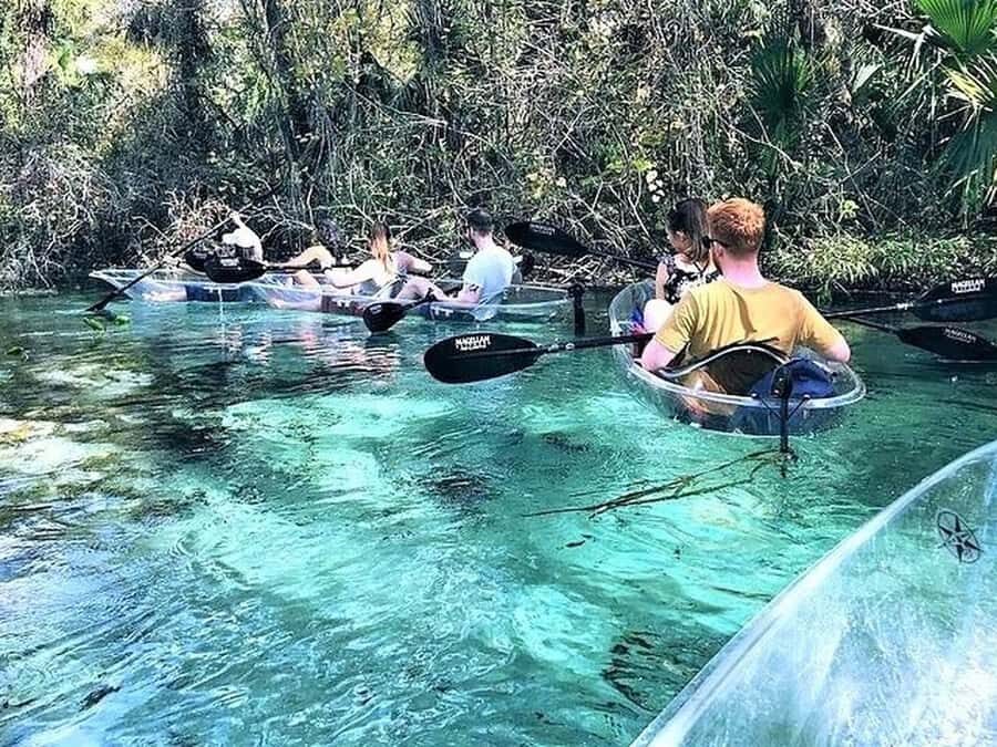 Apopka: Rock Springs Clear Kayak Tour - FAQ