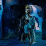 Arcadia Earth Toronto - An Immersive Art Experience - What to Expect at Each Part of the Experience