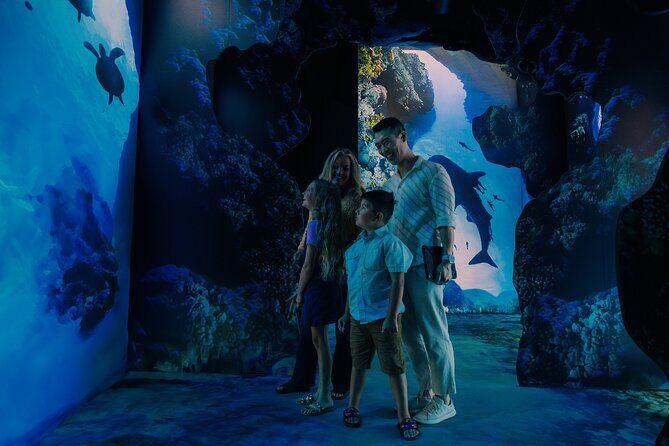 Arcadia Earth Toronto - An Immersive Art Experience - What to Expect at Each Part of the Experience