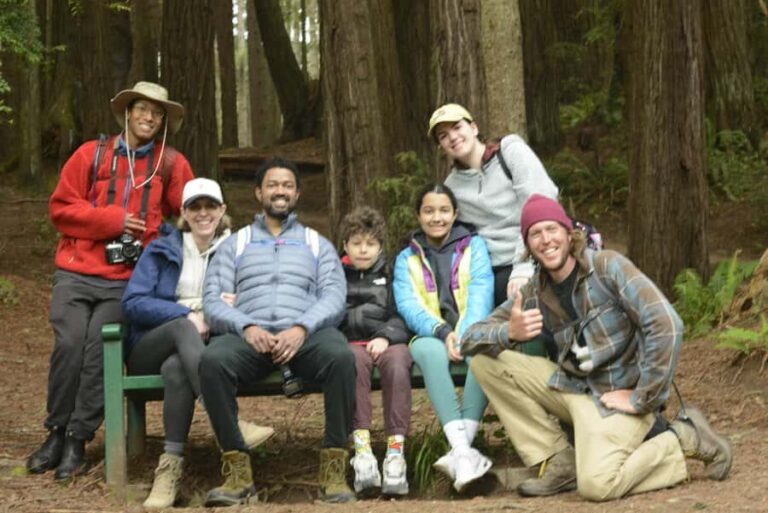 Arcata's Redwood Forest: Hike Through the Emerald Canopy - What to Expect on the Tour