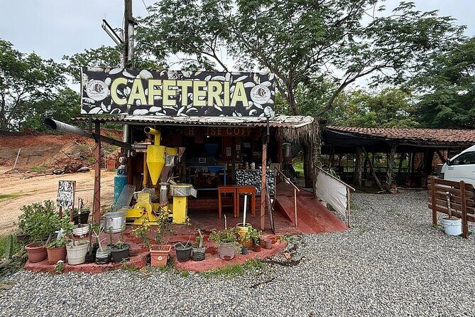 Archaeological Site Tour in Zihuatanejo - An In-Depth Look at the Zihuatanejo Archaeological Site Tour