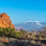 Arches National Park Half Day Tour - What Makes the Experience Stand Out?