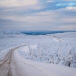 Arctic Circle Northern Lights Dalton Highway Winter Tour - Analyzing the Value and Who This Tour Is For