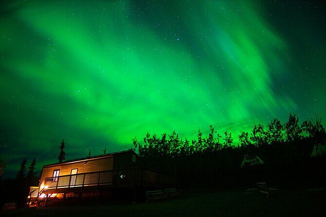 Arctic Day: Aurora Viewing Tour | late night - What Travelers Say: Authentic Perspectives