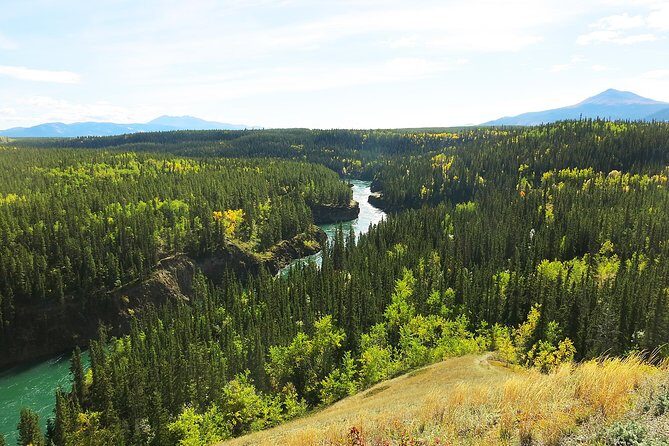 Arctic Day: Hiking Tour | half day - The Journey into Miles Canyon