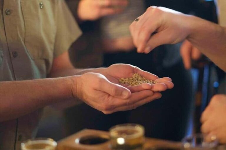 Asheville: 3 Brewery Walking Tour with Tastings - Who Will Love This Tour?