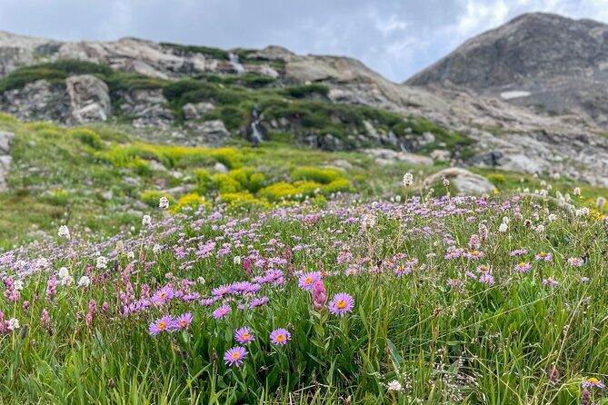 Aspen via Independence Pass Private Colorado Adventure Tour - Final Thoughts