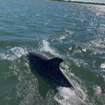 Assateague Island Cruise Departs from Ocean Pines - What Travelers Say: Authentic Perspectives