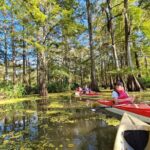 Atchafalaya Basin: 2.5 Hr. Guided Kayak Tour - Why This Tour Is Worth Considering