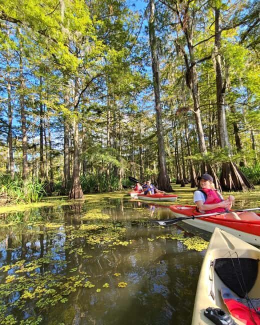 Atchafalaya Basin: 2.5 Hr. Guided Kayak Tour - Why This Tour Is Worth Considering
