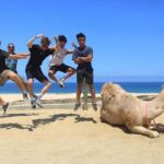 ATV and Camel Ride COMBO Adventure - Practical Tips & Considerations