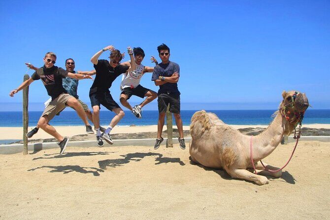 ATV and Camel Ride COMBO Adventure - Practical Tips & Considerations