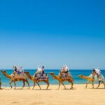 ATV & Camel Ride Tour on Migriño Beach - Authenticity and the Overall Experience